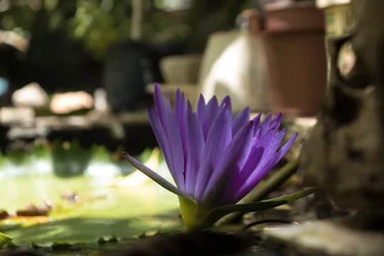 体彩排列三走势图